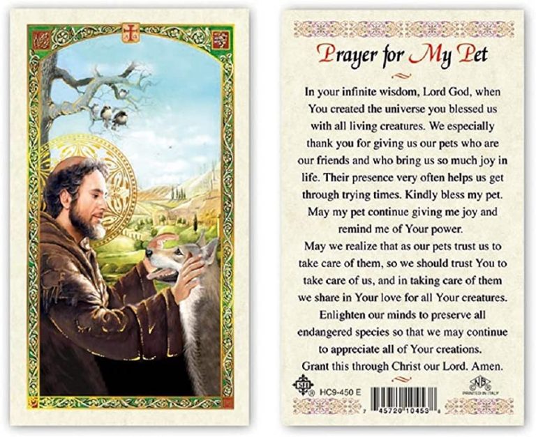 oracion de la paz san francisco de asis en ingles