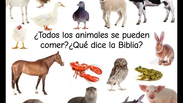 que animales se deben comer segun la biblia